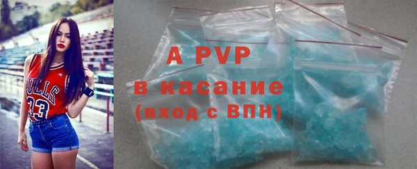 эйфоретик Покачи