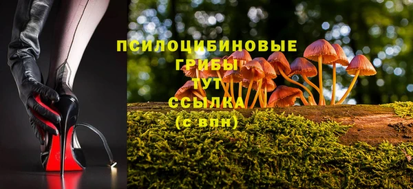эйфоретик Покачи