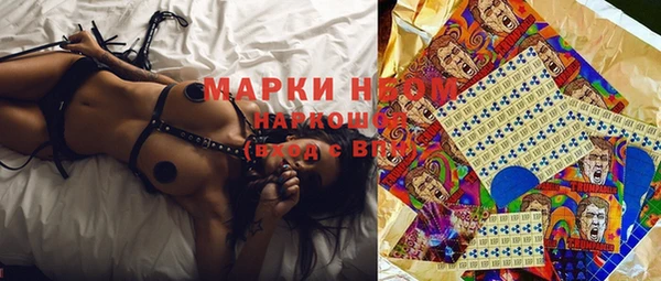 эйфоретик Покачи