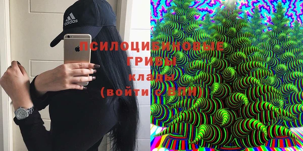 эйфоретик Покачи