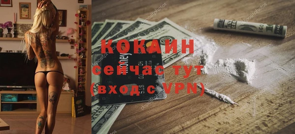 эйфоретик Покачи